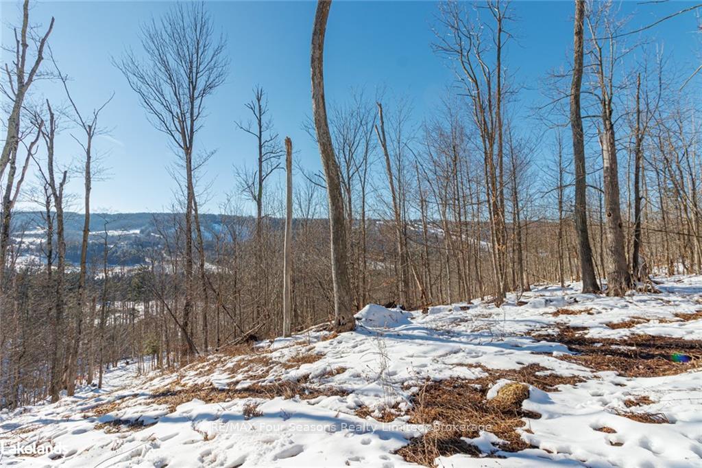 Photo 30 of PTLT 25 Grey Road 30, Grey Highlands — HOMEH