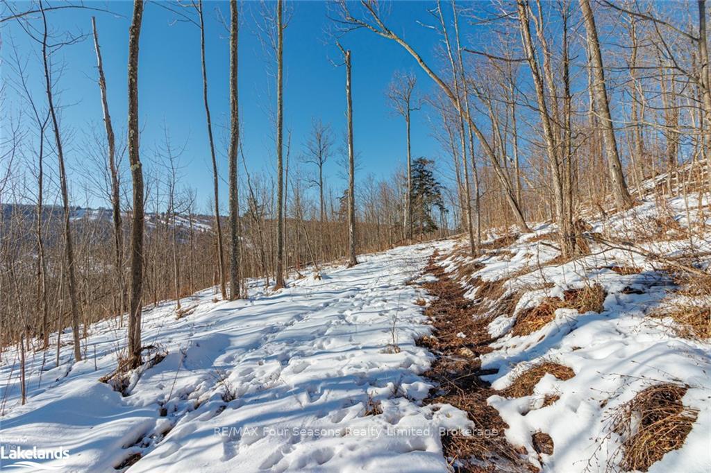 Photo 31 of PTLT 25 Grey Road 30, Grey Highlands — HOMEH