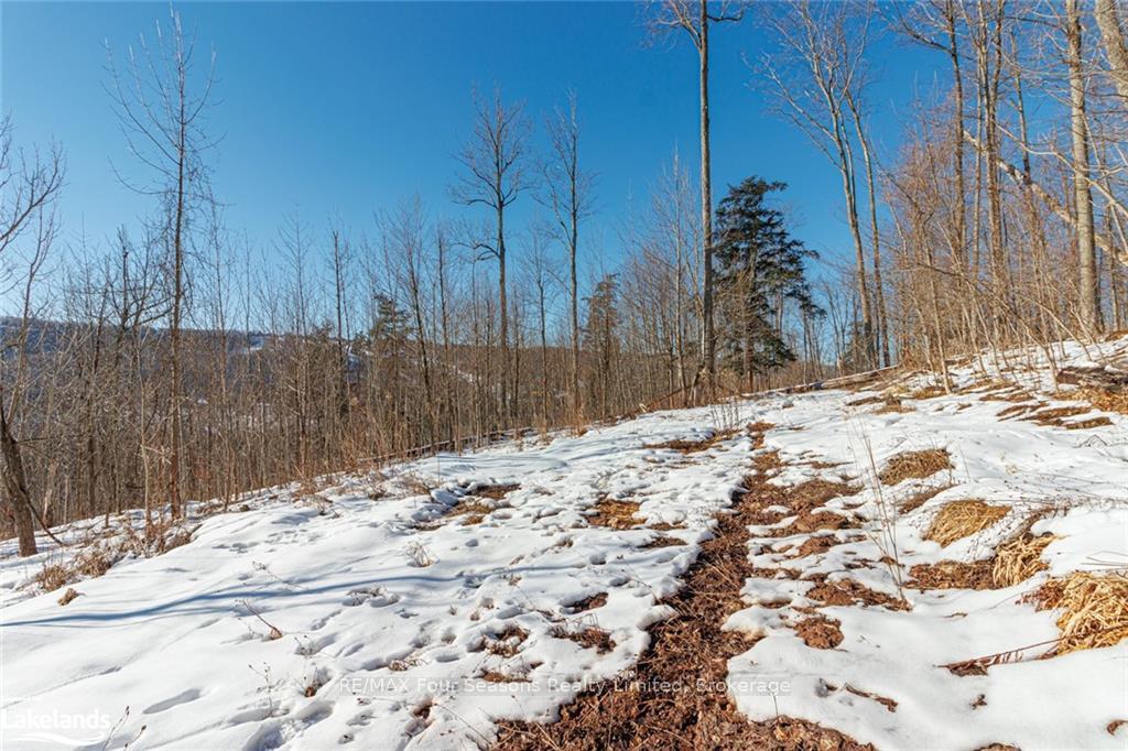 Photo 32 of PTLT 25 Grey Road 30, Grey Highlands — HOMEH
