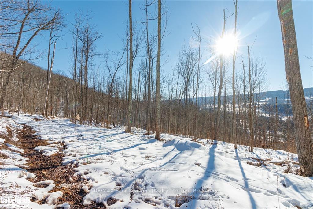 Photo 33 of PTLT 25 Grey Road 30, Grey Highlands — HOMEH
