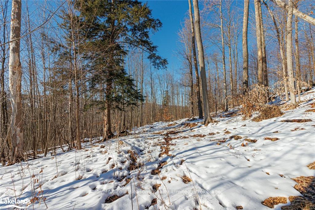 Photo 34 of PTLT 25 Grey Road 30, Grey Highlands — HOMEH