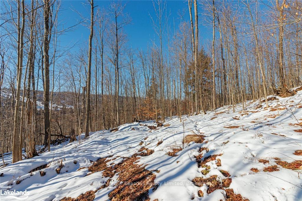 Photo 35 of PTLT 25 Grey Road 30, Grey Highlands — HOMEH