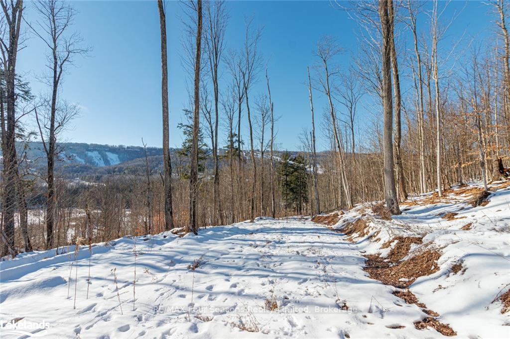 Photo 36 of PTLT 25 Grey Road 30, Grey Highlands — HOMEH
