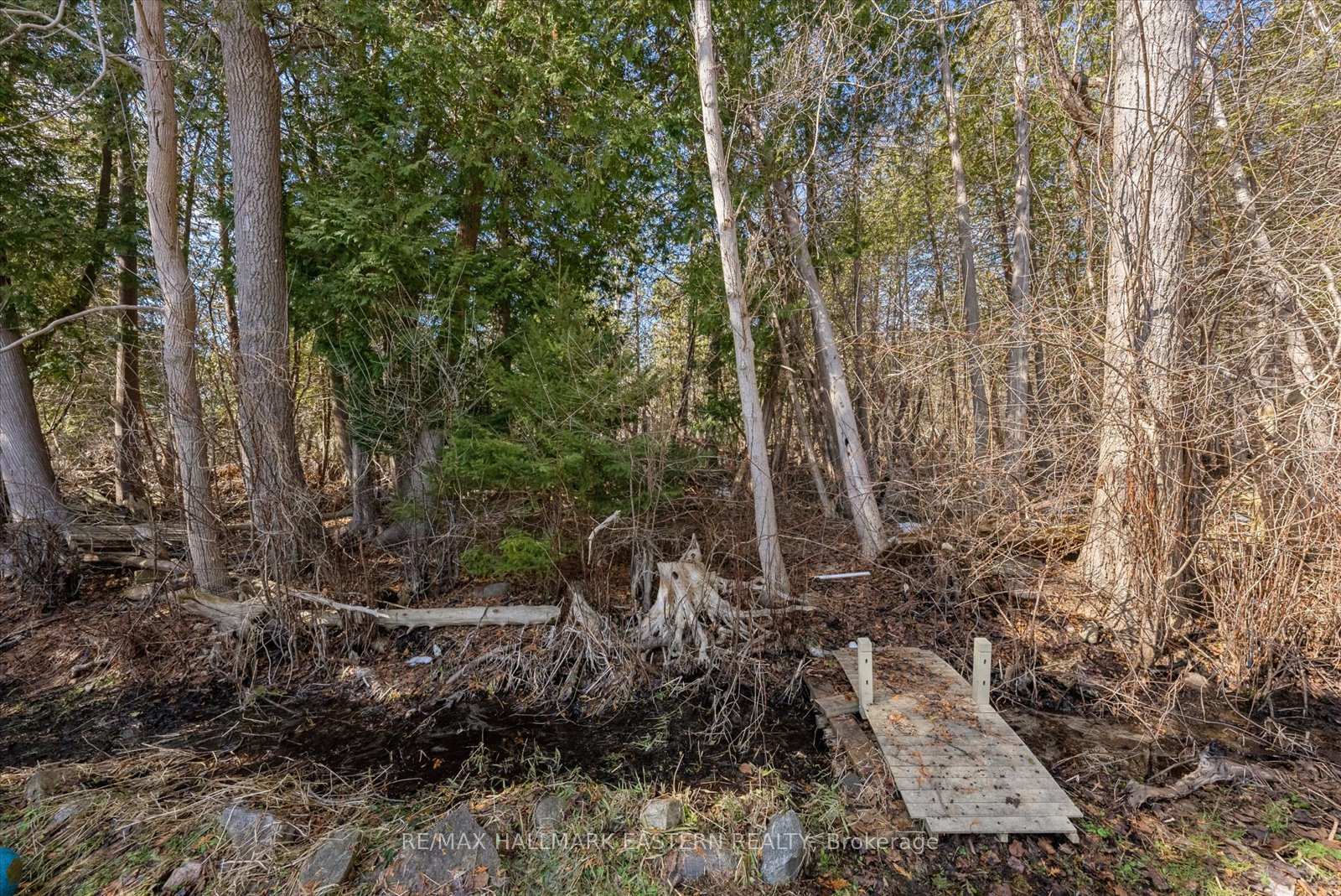 Photo 36 of 1221 Olympus Avenue, Peterborough, Northcrest Ward 5 — HOMEH