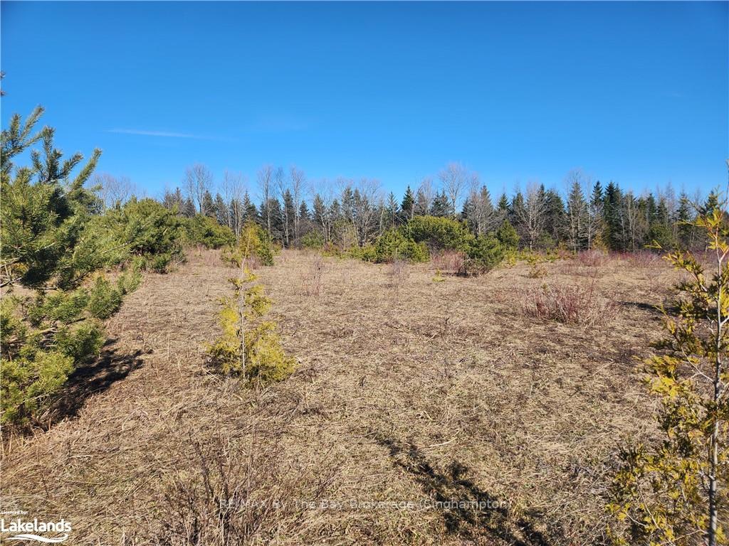 Photo 4 of 409481 Grey 4 Road W, Grey Highlands — HOMEH