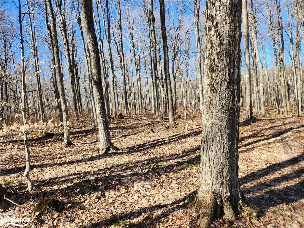 Photo 6 of 409481 Grey 4 Road W, Grey Highlands — HOMEH