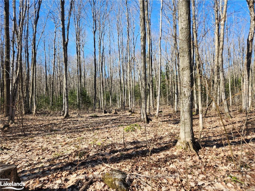 Photo 8 of 409481 Grey 4 Road W, Grey Highlands — HOMEH