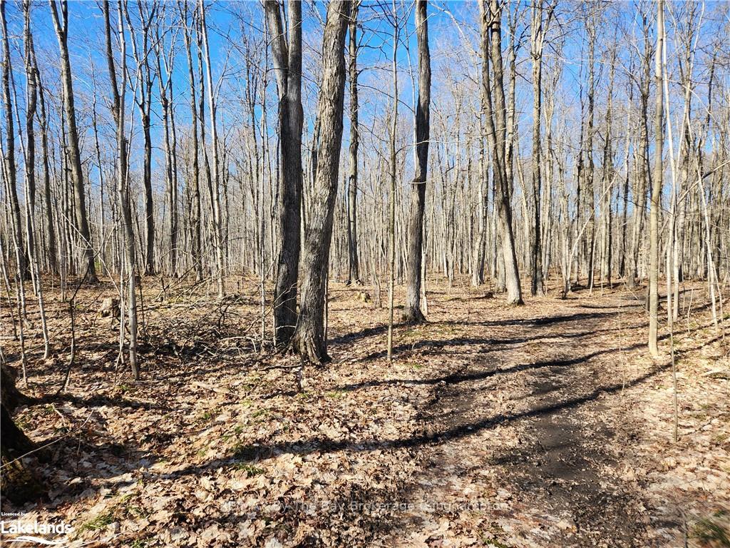 Photo 10 of 409481 Grey 4 Road W, Grey Highlands — HOMEH