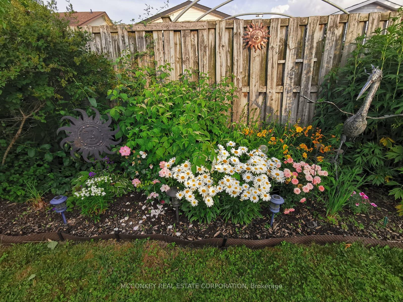 Photo 5 of 217 Middlefield Road, Peterborough, Ashburnham Ward 4 — HOMEH