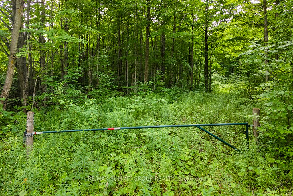 Photo 3 of PT LT 6 9TH Line, Grey Highlands — HOMEH