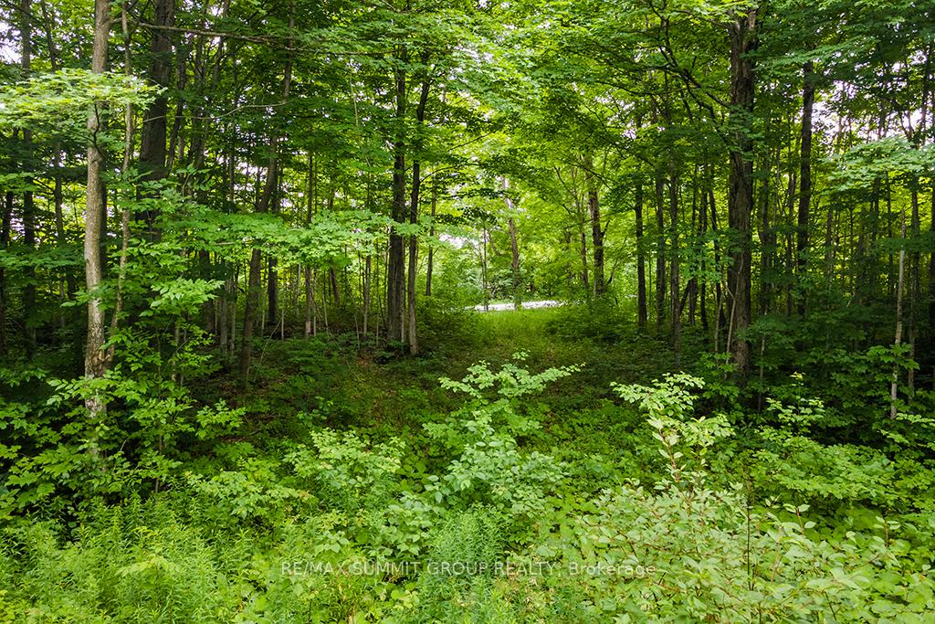 Photo 5 of PT LT 6 9TH Line, Grey Highlands — HOMEH