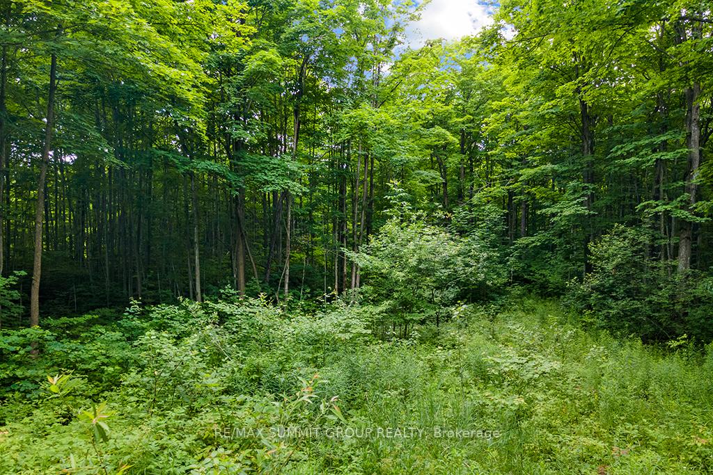 Photo 6 of PT LT 6 9TH Line, Grey Highlands — HOMEH