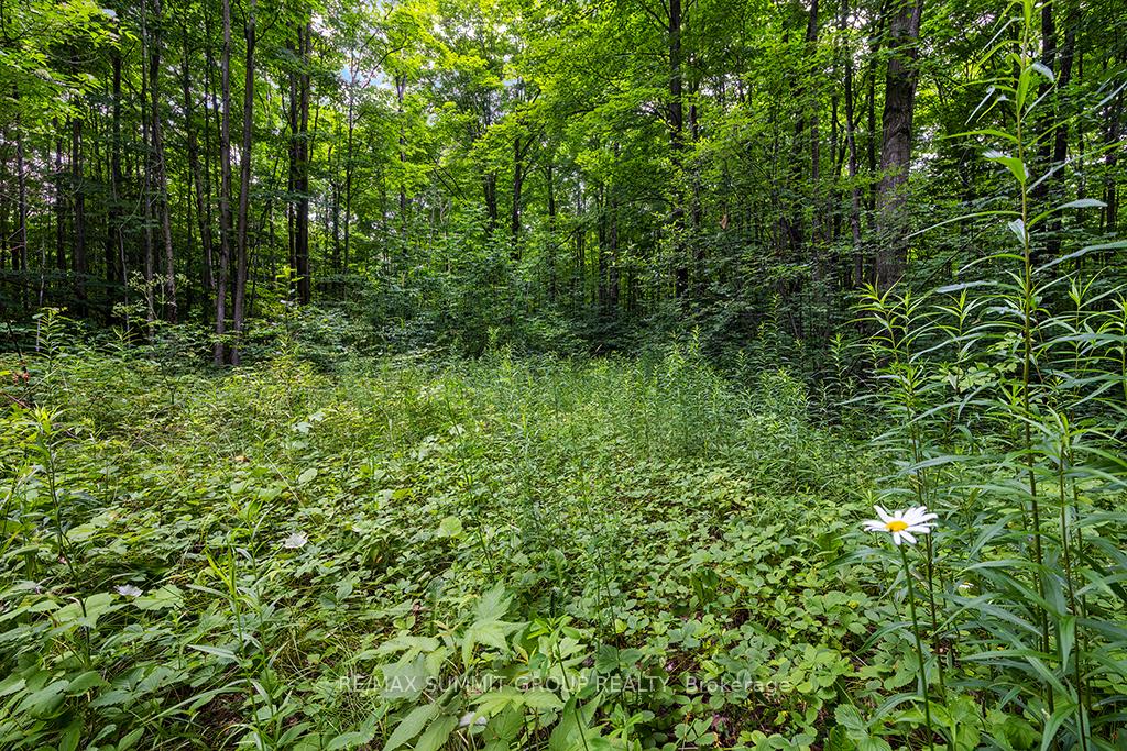 Photo 7 of PT LT 6 9TH Line, Grey Highlands — HOMEH