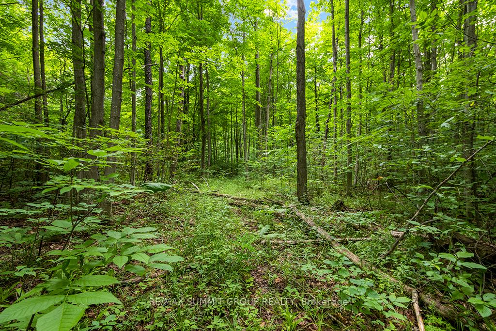 Photo 9 of PT LT 6 9TH Line, Grey Highlands — HOMEH