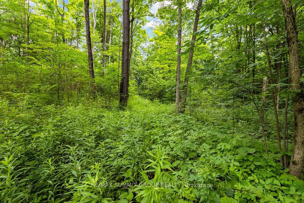 Photo 10 of PT LT 6 9TH Line, Grey Highlands — HOMEH