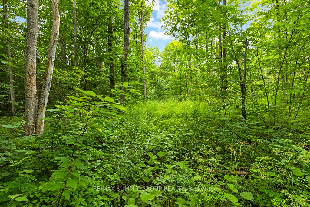 Photo 11 of PT LT 6 9TH Line, Grey Highlands — HOMEH