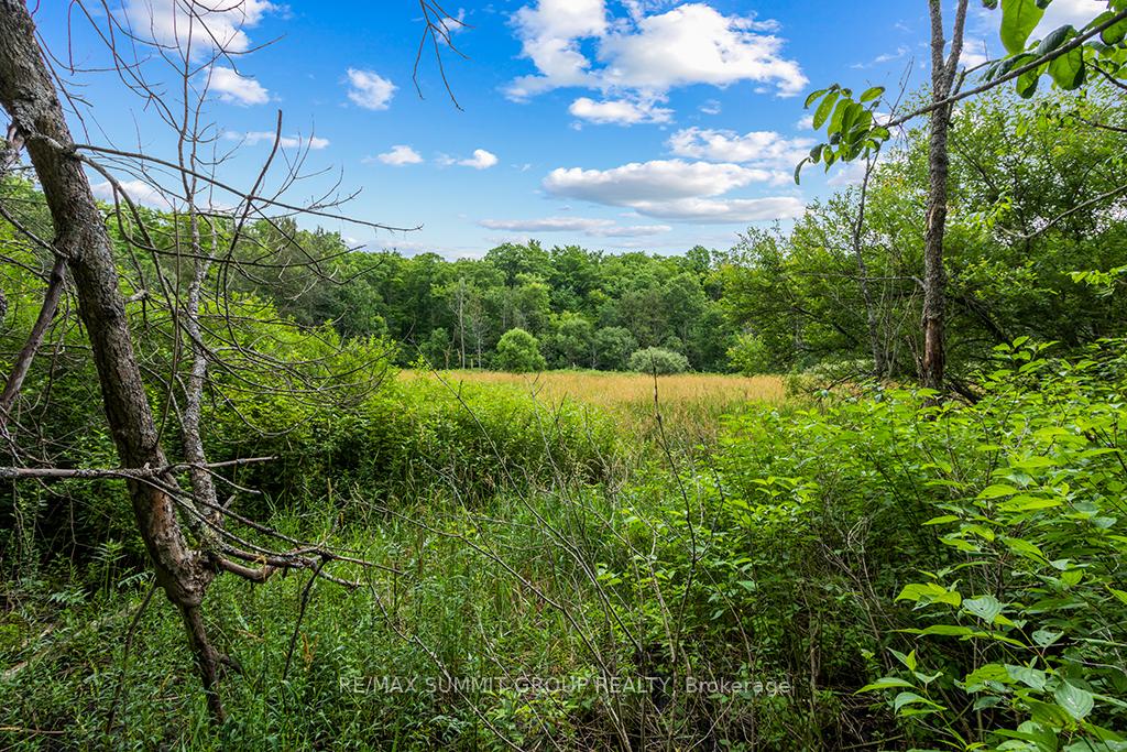 Photo 12 of PT LT 6 9TH Line, Grey Highlands — HOMEH