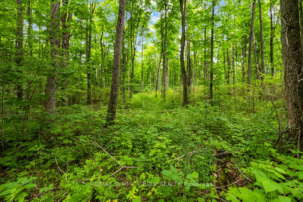 Photo 13 of PT LT 6 9TH Line, Grey Highlands — HOMEH