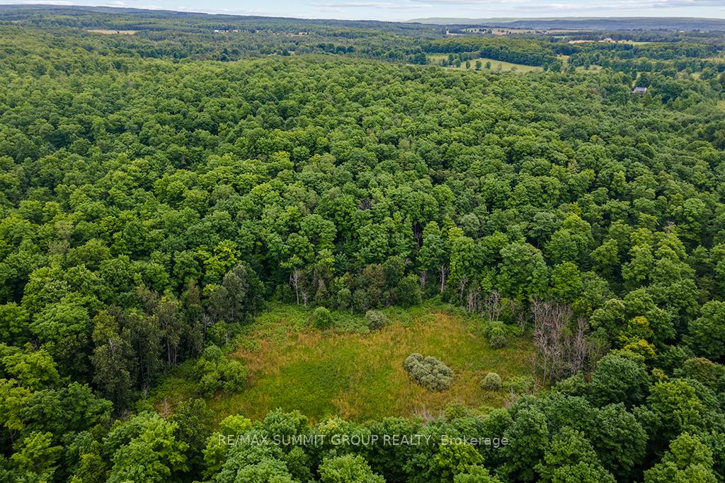 Photo 15 of PT LT 6 9TH Line, Grey Highlands — HOMEH