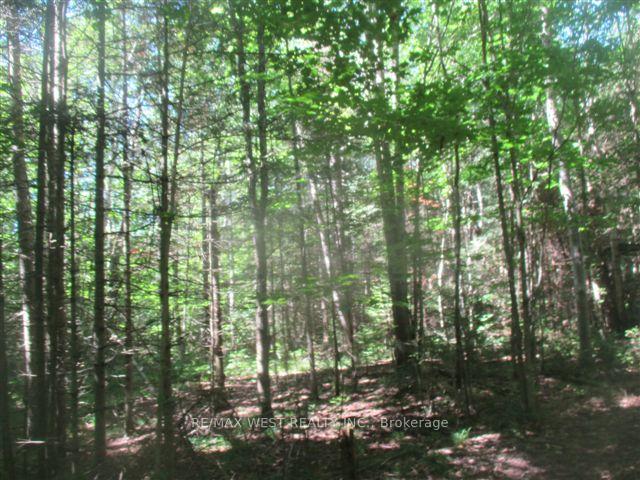 Photo 7 of Unit 124, 700225 Grey Road, Grey Highlands — HOMEH