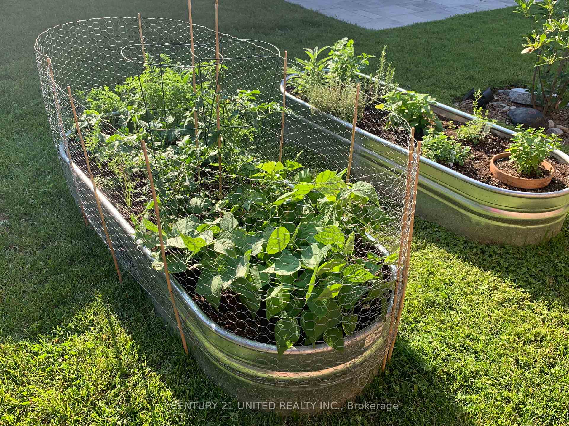 Photo 39 of 341 Noftall Gardens, Peterborough, Northcrest Ward 5 — HOMEH