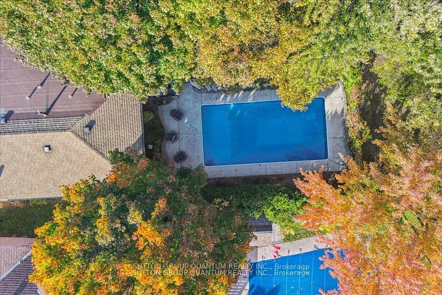 Photo 36 of 48 Macdonald Crescent, Milton, Dorset Park — HOMEH