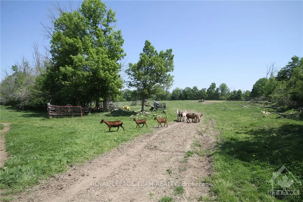 Photo 13 of 3159 8TH Line Road, Ottawa, Metcalfe — HOMEH