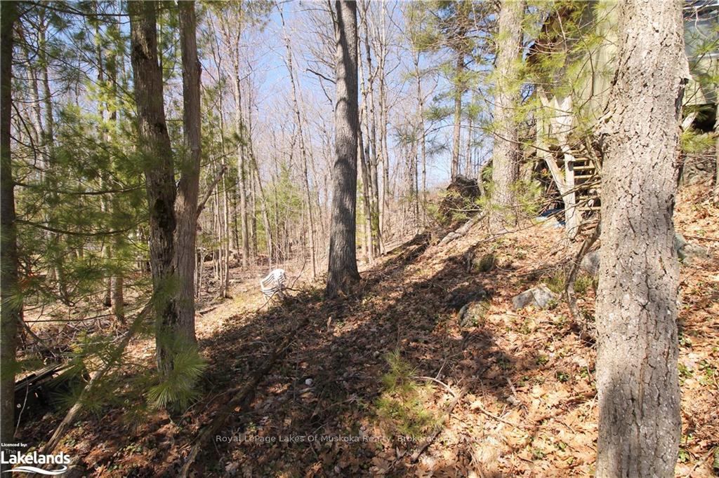 Photo 5 of 63 Loon Lake Road, Gravenhurst, Muskoka (S) — HOMEH