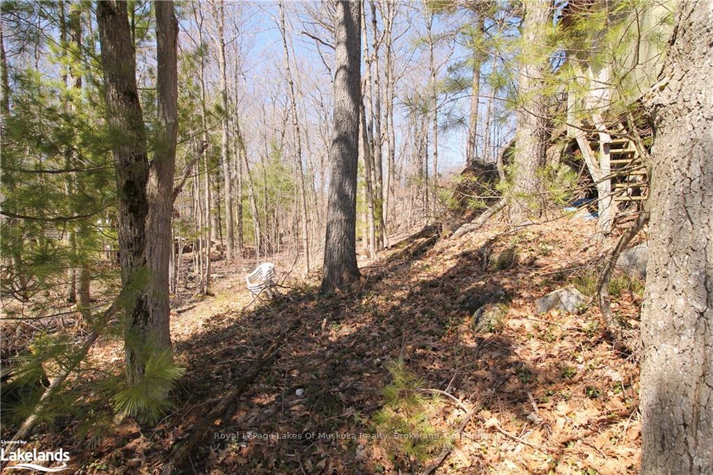Photo 6 of 63 Loon Lake Road, Gravenhurst, Muskoka (S) — HOMEH