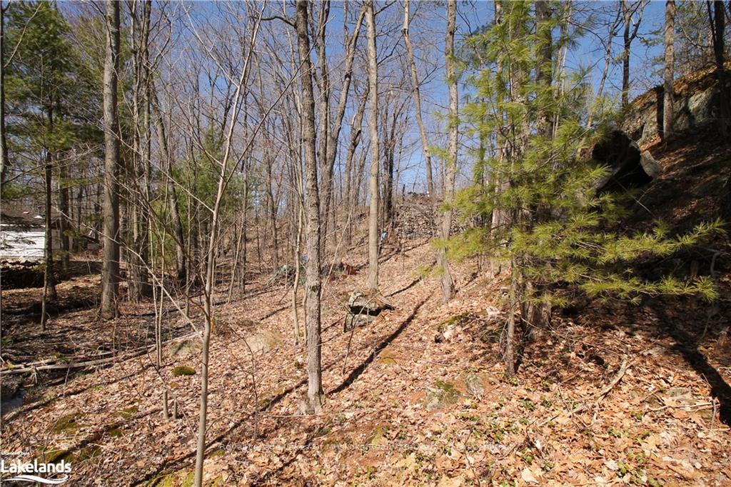Photo 7 of 63 Loon Lake Road, Gravenhurst, Muskoka (S) — HOMEH