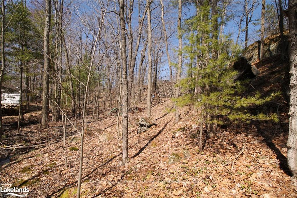 Photo 8 of 63 Loon Lake Road, Gravenhurst, Muskoka (S) — HOMEH