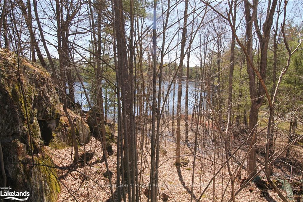 Photo 9 of 63 Loon Lake Road, Gravenhurst, Muskoka (S) — HOMEH