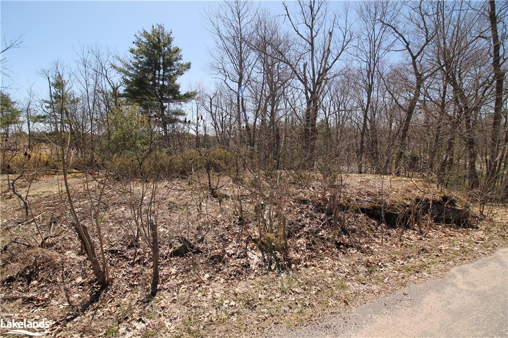 Photo 10 of 63 Loon Lake Road, Gravenhurst, Muskoka (S) — HOMEH