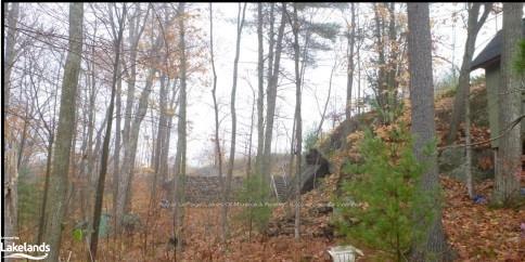 Photo 14 of 63 Loon Lake Road, Gravenhurst, Muskoka (S) — HOMEH
