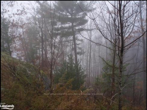 Photo 16 of 63 Loon Lake Road, Gravenhurst, Muskoka (S) — HOMEH