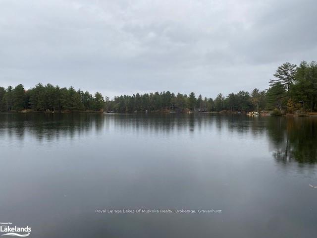 Photo 18 of 63 Loon Lake Road, Gravenhurst, Muskoka (S) — HOMEH