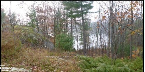 Photo 19 of 63 Loon Lake Road, Gravenhurst, Muskoka (S) — HOMEH