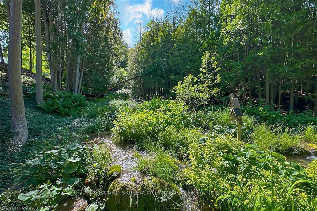 Photo 47 of 181 Talisman Mountain Drive, Grey Highlands — HOMEH