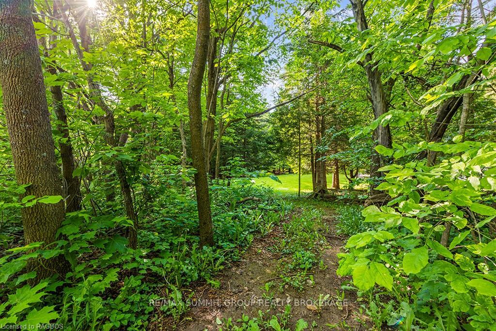 Photo 47 of 215 Pellisier Street, Grey Highlands — HOMEH