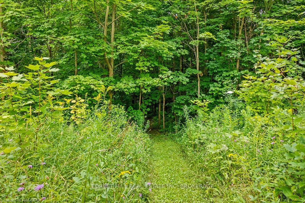 Photo 44 of 194738 Grey 13 Road, Grey Highlands — HOMEH