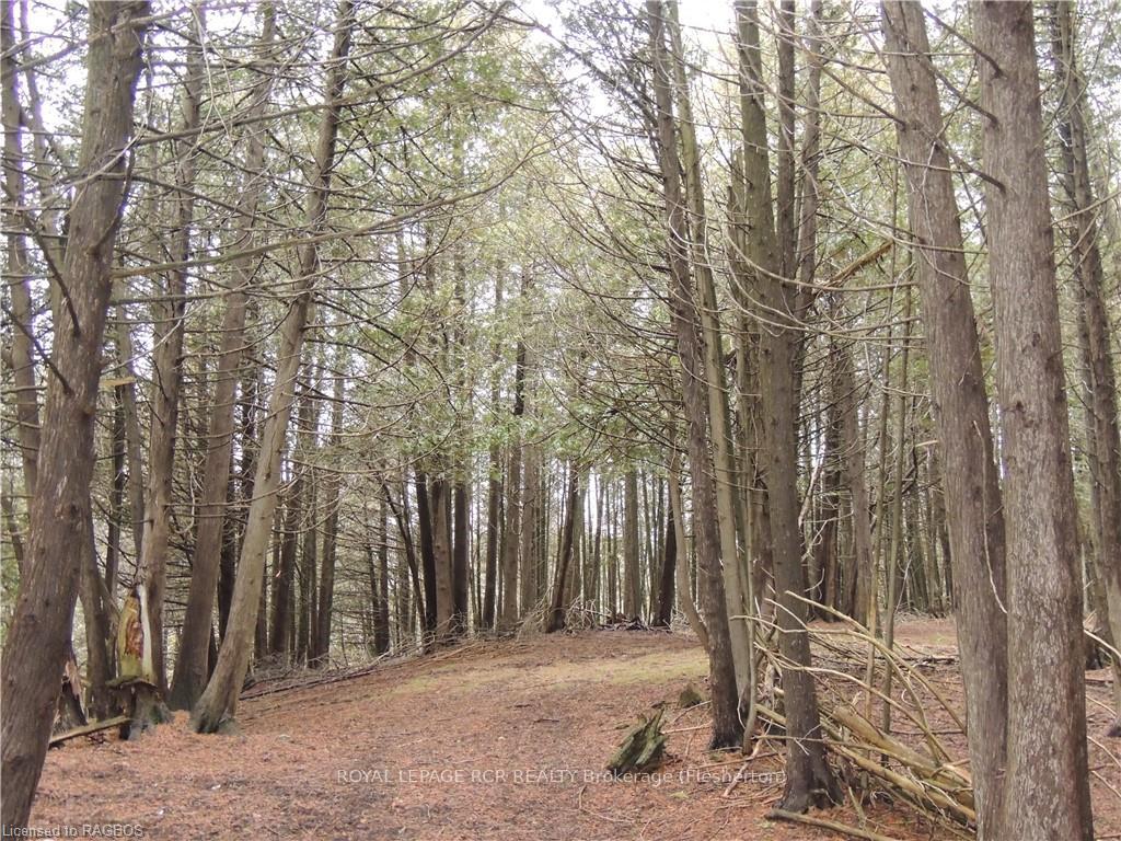 Photo 41 of 194272 Grey Road 13, Grey Highlands — HOMEH