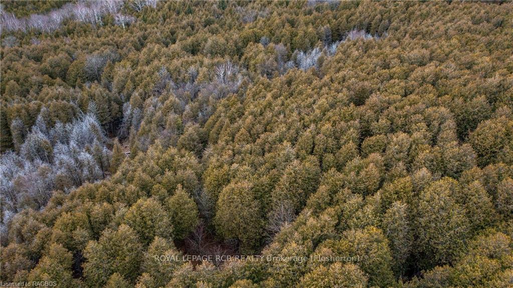 Photo 43 of 194272 Grey Road 13, Grey Highlands — HOMEH