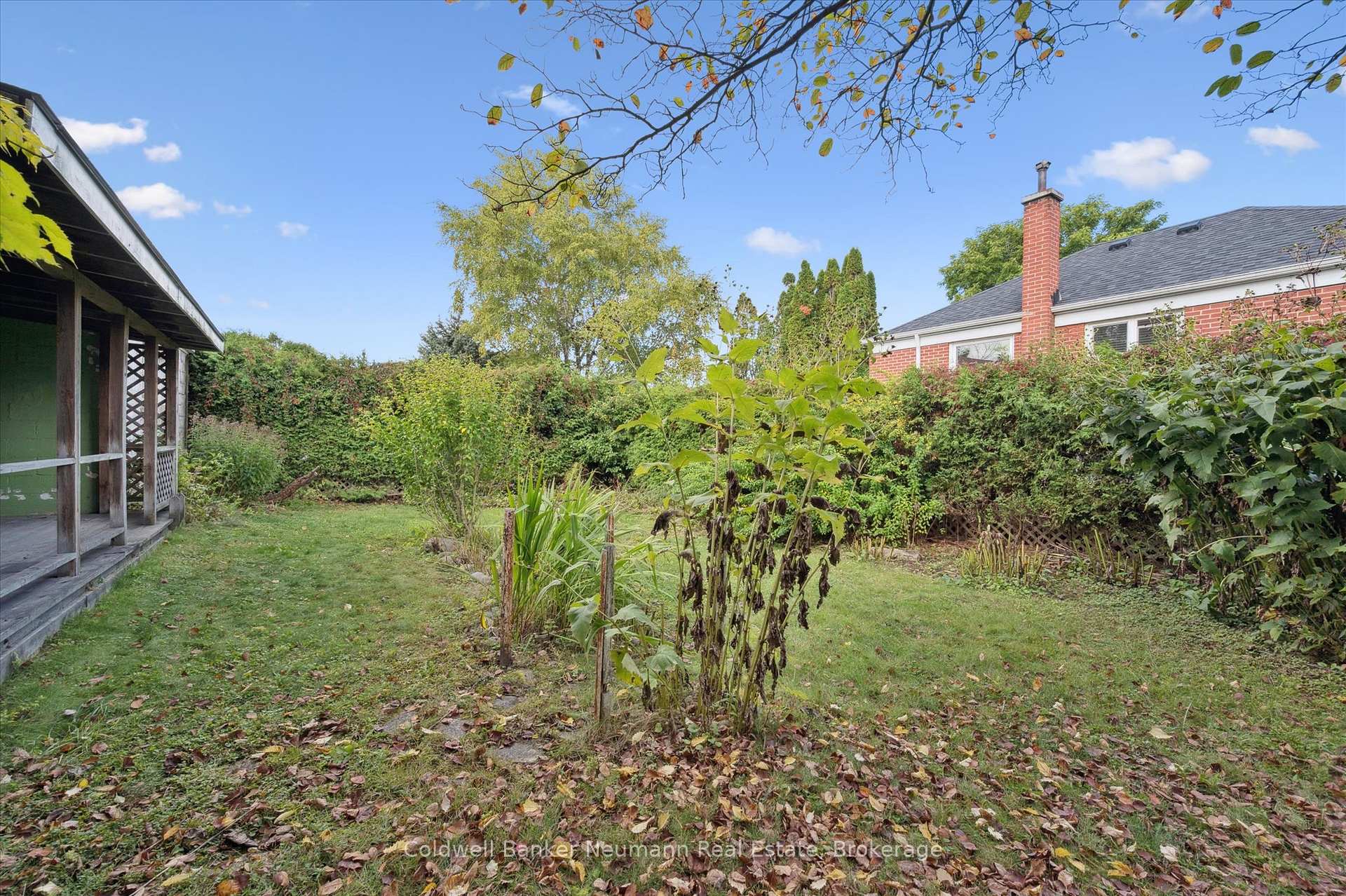 Photo 36 of 26 Bagot Street, Guelph, Junction/Onward Willow — HOMEH