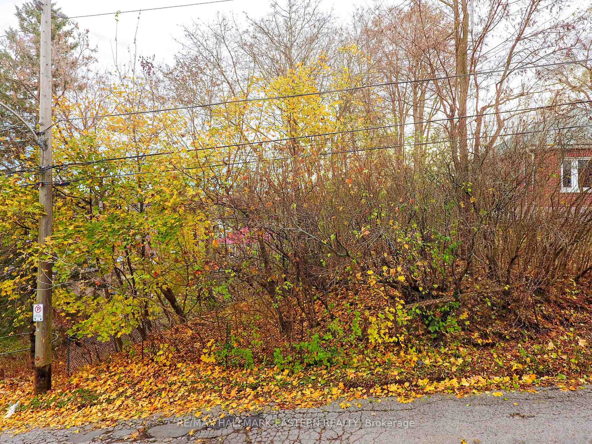 Photo 1 of 557 Murray Street, Peterborough, Town Ward 3 — HOMEH