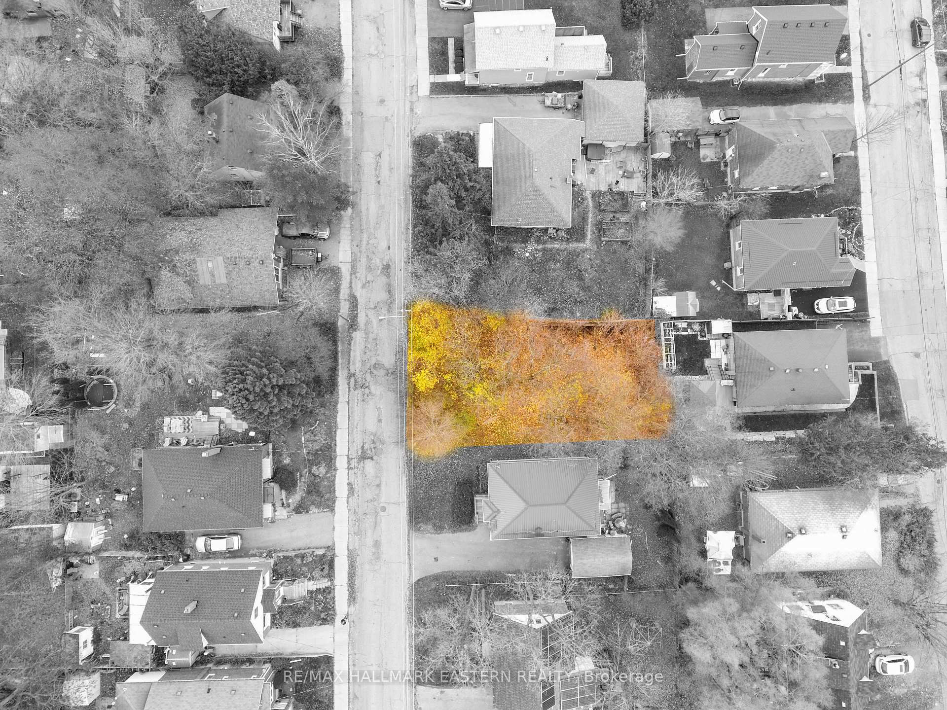 Photo 4 of 557 Murray Street, Peterborough, Town Ward 3 — HOMEH