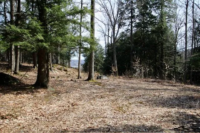 Photo of Unit 6, 22 Gryffin Bluffs Lane