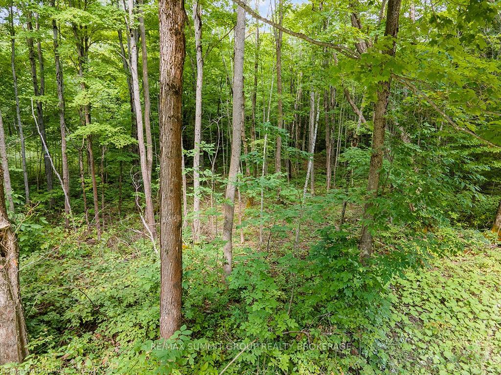 Photo 3 of LOT 6 10TH, Grey Highlands — HOMEH