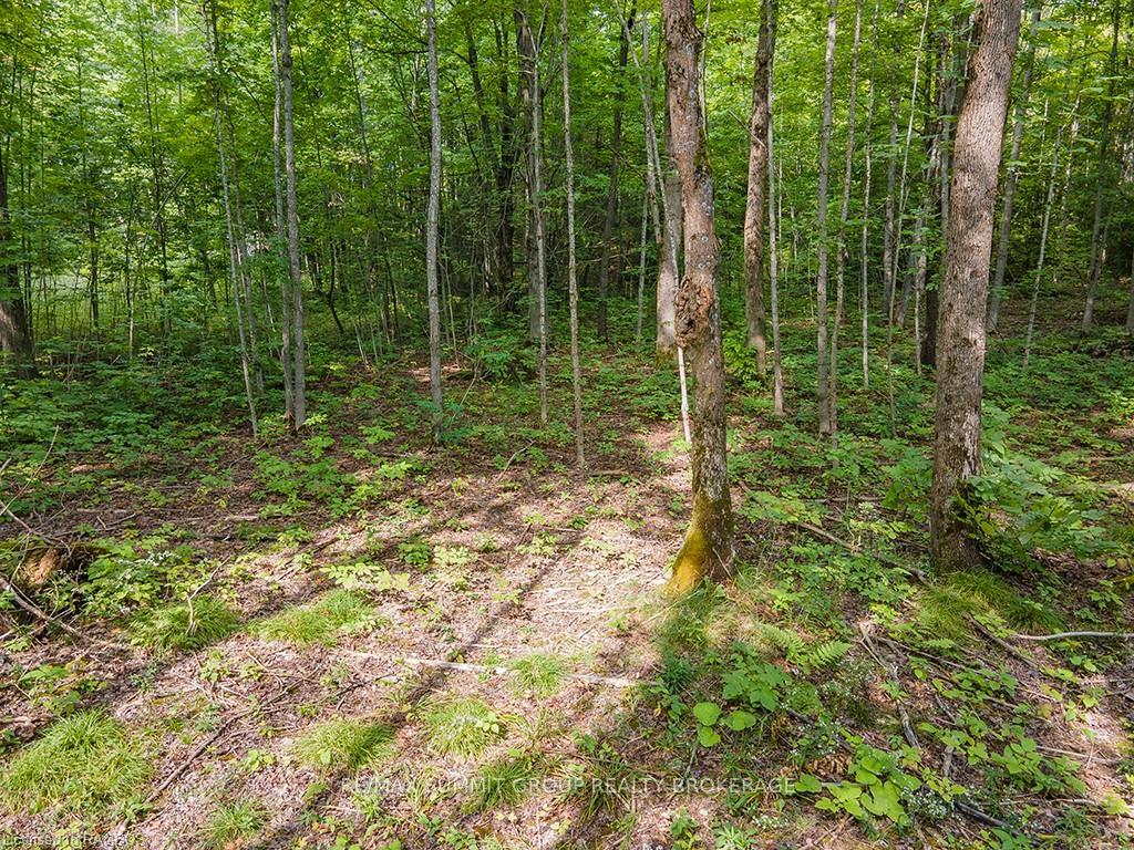 Photo 4 of LOT 6 10TH, Grey Highlands — HOMEH
