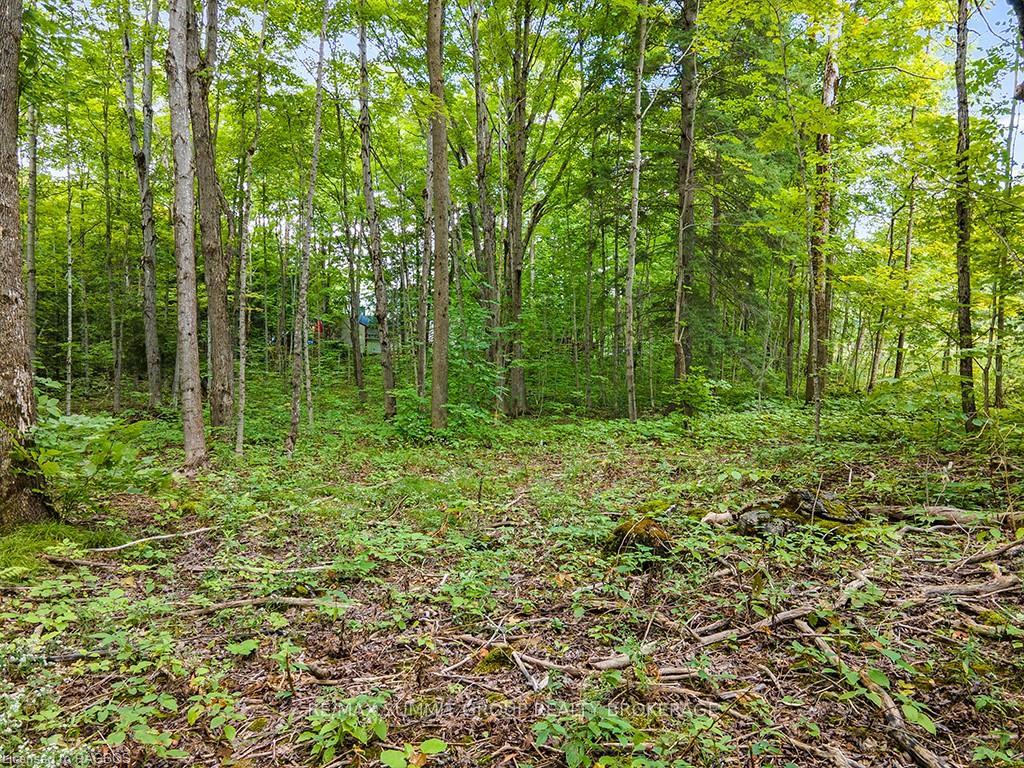Photo 5 of LOT 6 10TH, Grey Highlands — HOMEH
