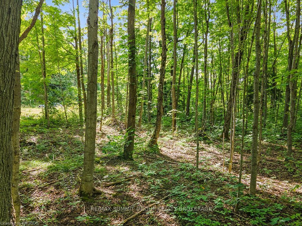Photo 6 of LOT 6 10TH, Grey Highlands — HOMEH